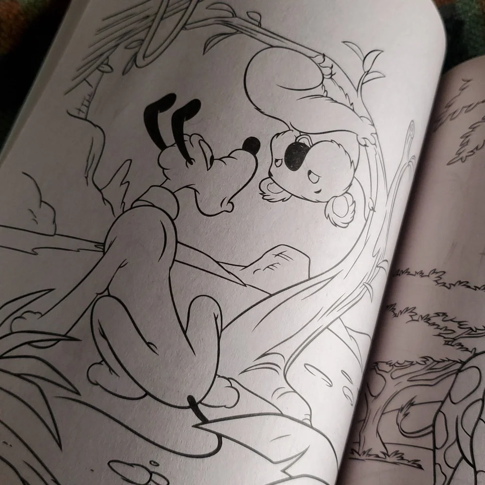 Mickey Mouse & Pooh Coloring and Activity Book‎ Set